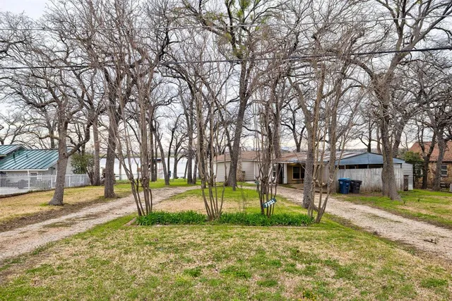 a view of a yard with a tree
