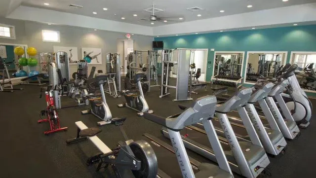 a view of a city with tall trees