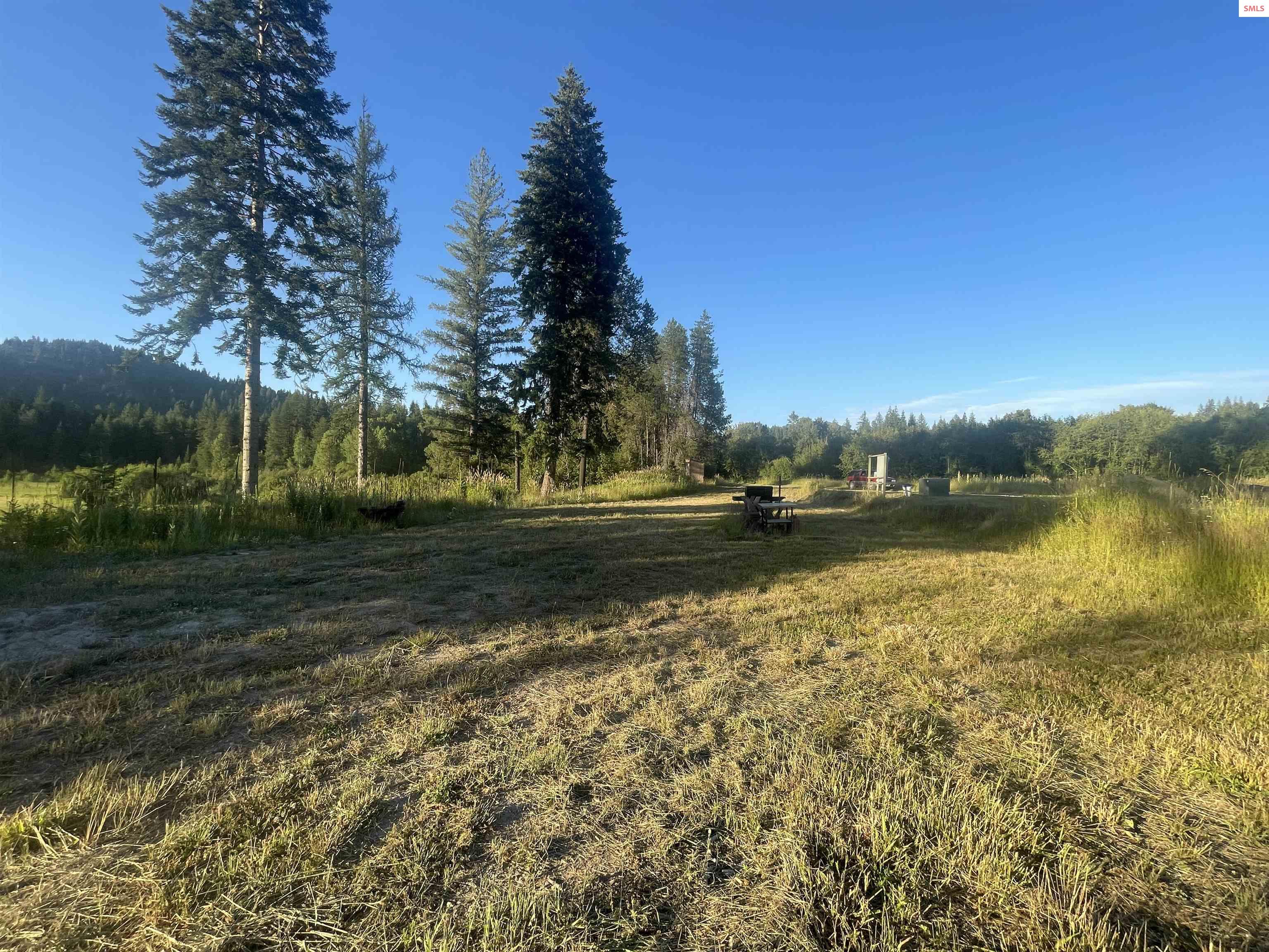 1787 Mud Gulch Road Priest River, ID 83856 - Photo 12 of 31 Gallery Image 12