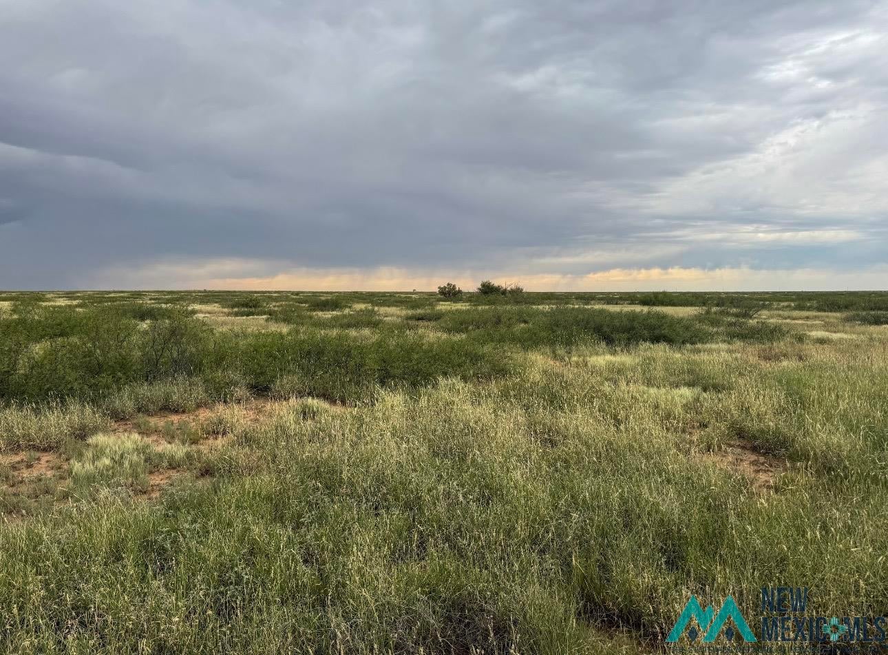 0 Dona Ana Road Roswell, NM 88201 - Photo 7 of 16