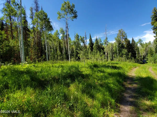 $35,000 | 20381 King Bolt Trail, Oak Creek, CO 80467