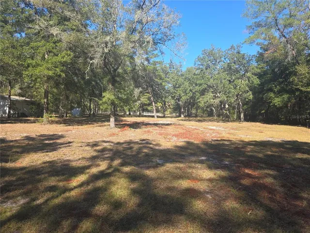 a view of yard with tree
