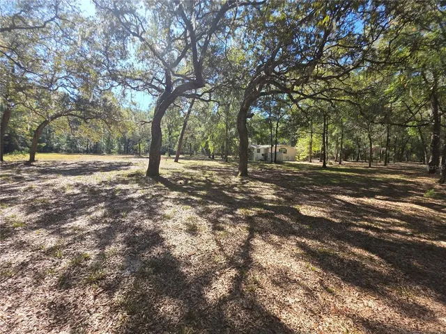 a fire hydrant in the middle of a field