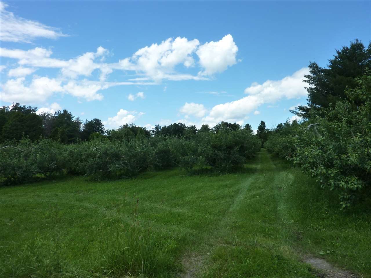 Lot 7 Rotax Road, Unit 7 Hinesburg, VT 05461 - Photo 1 of 1 Gallery Image 1