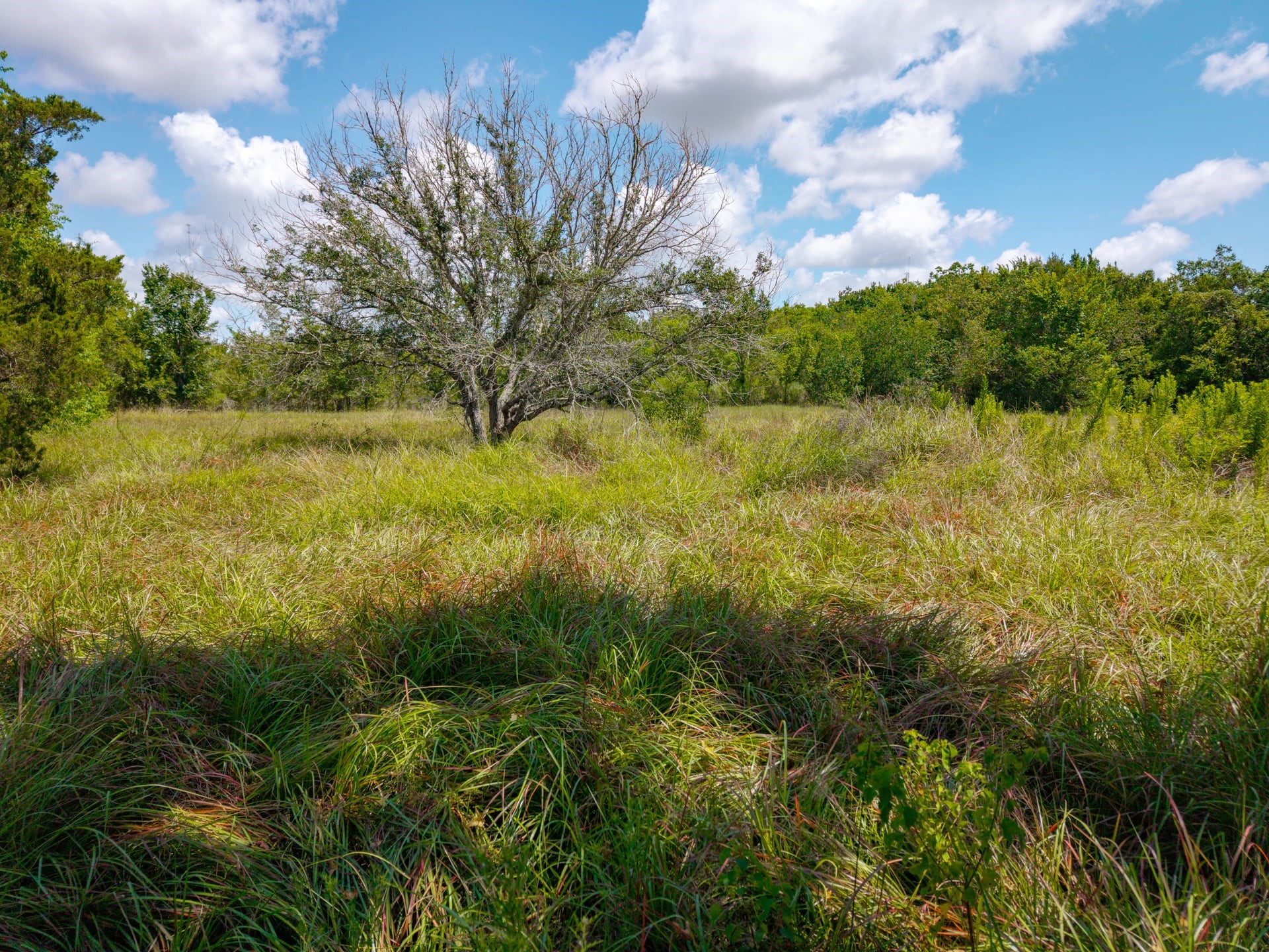 1301 Adams Road Bay City, TX 77414 - Photo 19 of 22 Gallery Image 19