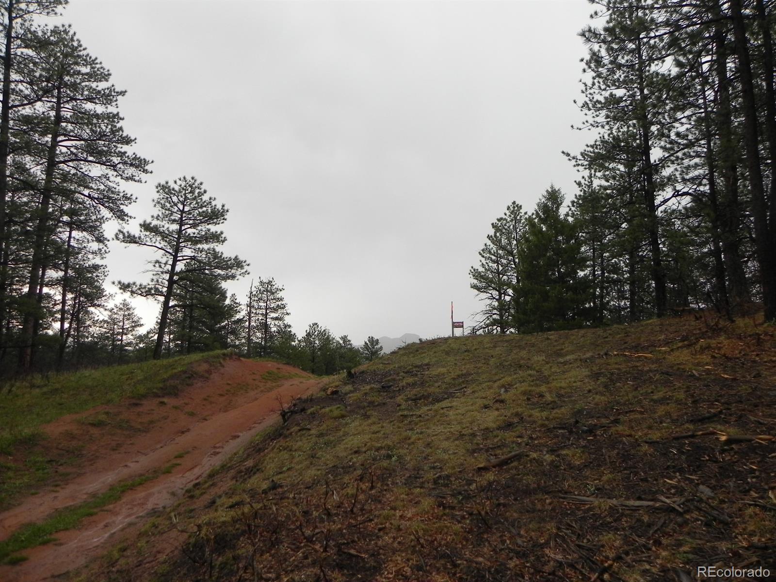 4374 Elati Road Larkspur, CO 80118 - Photo 1 of 1 Gallery Image 1