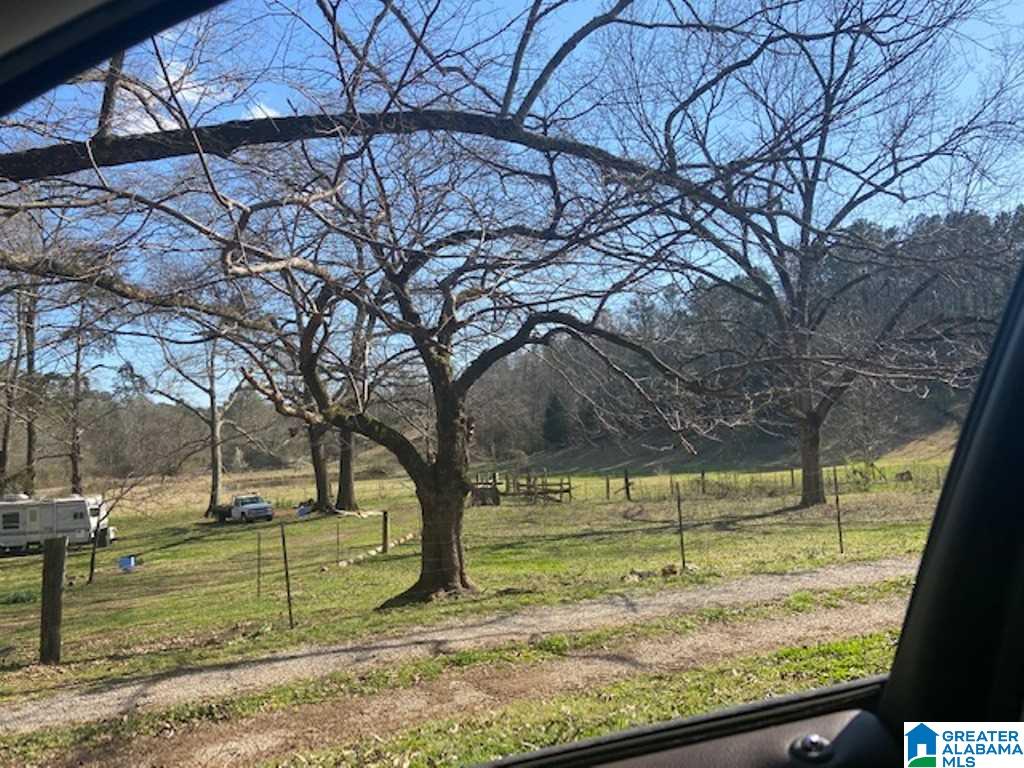 3154 Taylors Mill Road Talladega, AL 35160 - Photo 29 of 46