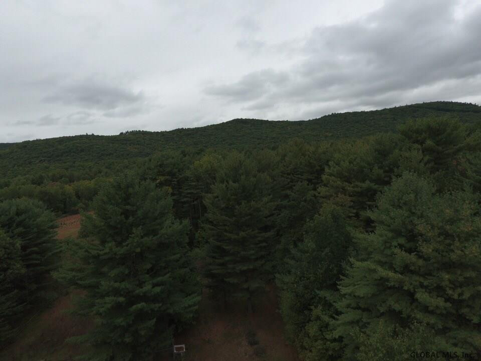 45 Potter Road Gansevoort, NY 12831 - Photo 6 of 25 Photo 6