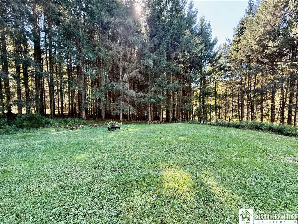 299 Bells Brook Road Genesee, NY 14721 - Photo 24 of 29