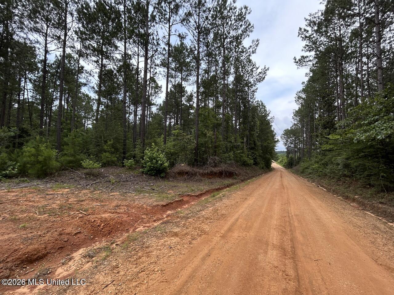 6643 Grange Hall Road Osyka, MS 39657 - Photo 1 of 39 IMG_4410 Large