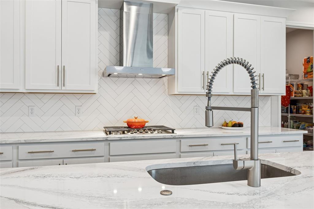 1725 Point Grace Road Tavares, FL 32778 - Photo 24 of 66