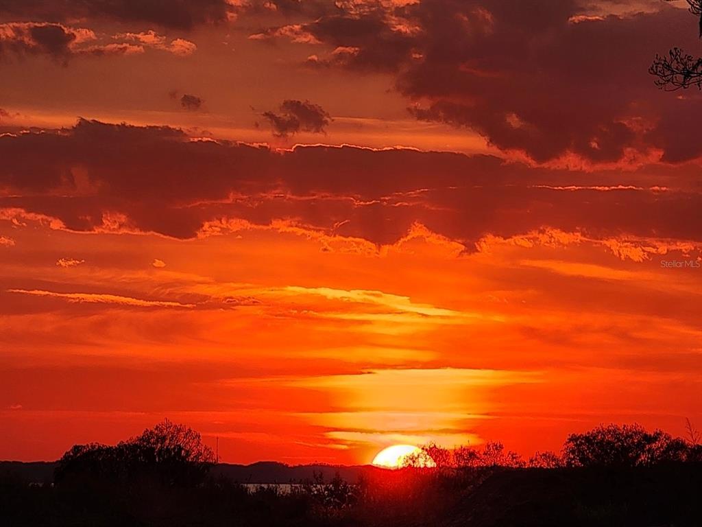 1725 Point Grace Road Tavares, FL 32778 - Photo 61 of 66