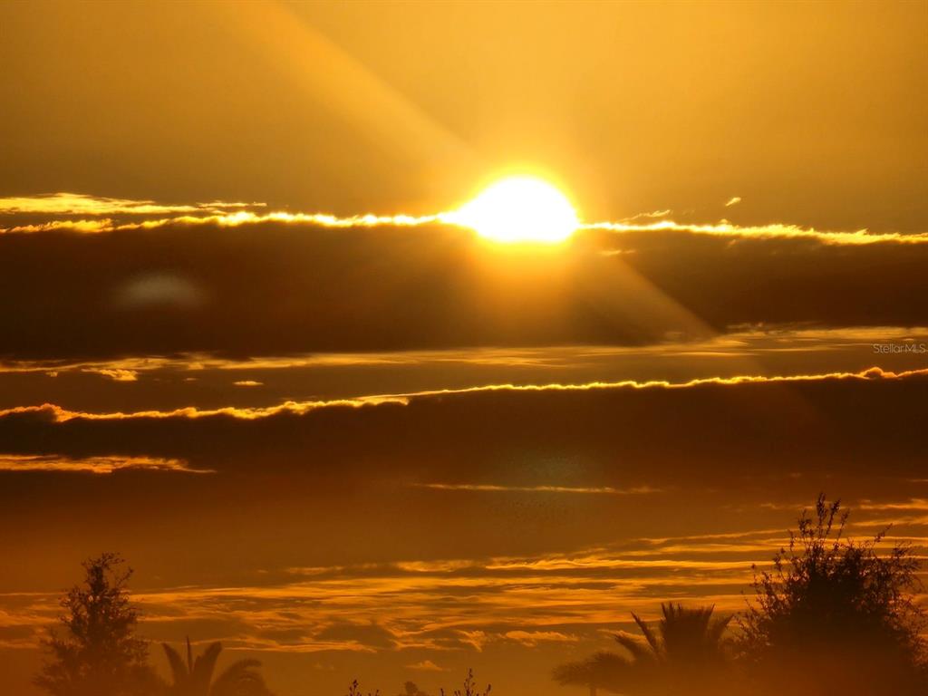 1725 Point Grace Road Tavares, FL 32778 - Photo 62 of 66