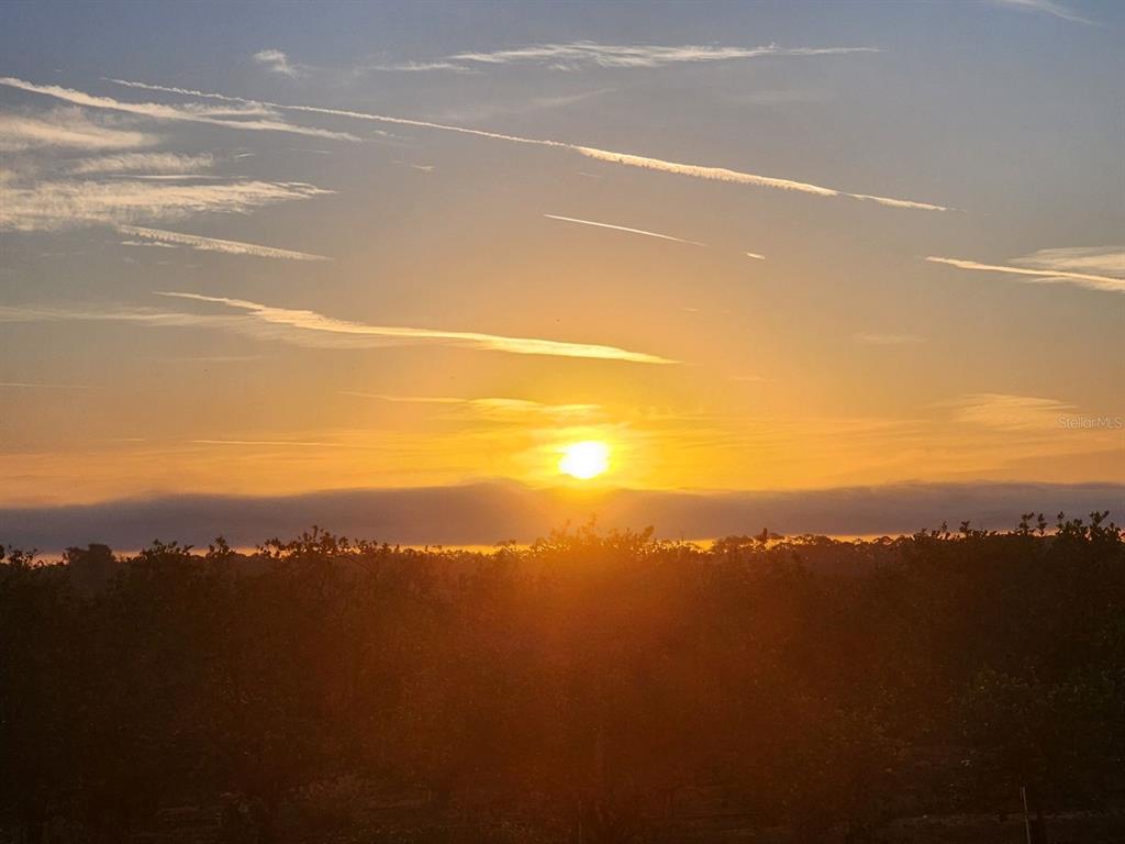 1725 Point Grace Road Tavares, FL 32778 - Photo 63 of 66