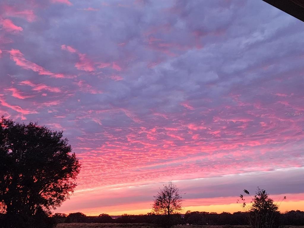 1725 Point Grace Road Tavares, FL 32778 - Photo 64 of 66