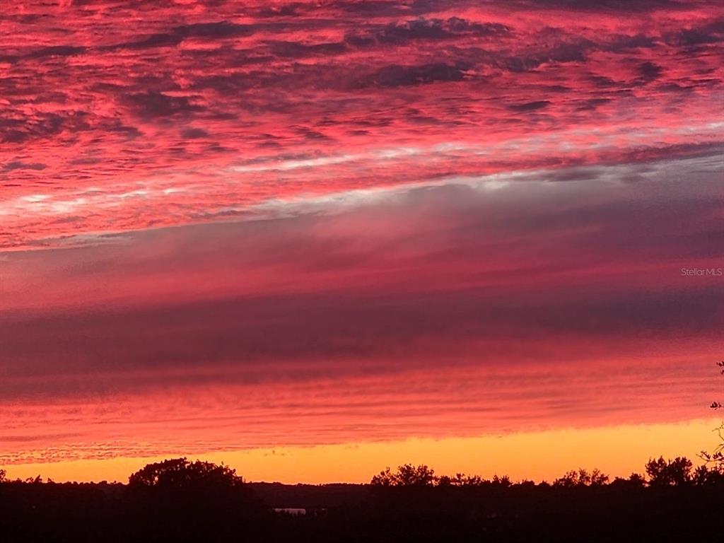 1725 Point Grace Road Tavares, FL 32778 - Photo 65 of 66