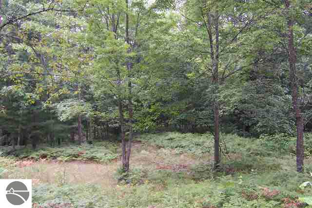 4450 Adams Road Gladwin, MI 48624 - Photo 8 of 8 1762756-7.JPG