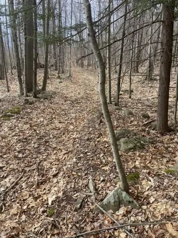 $169,000 | 219 Bailey Road, Jewett, NY 12444