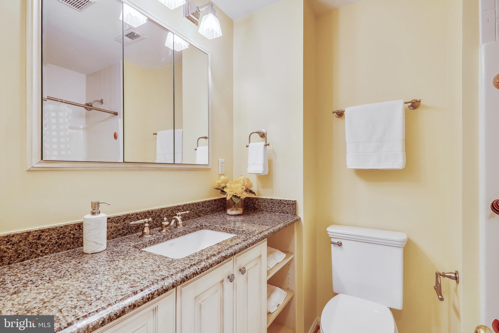 8700 Overlook Road McLean, VA 22102 - Photo 32 of 49 Hall Bath