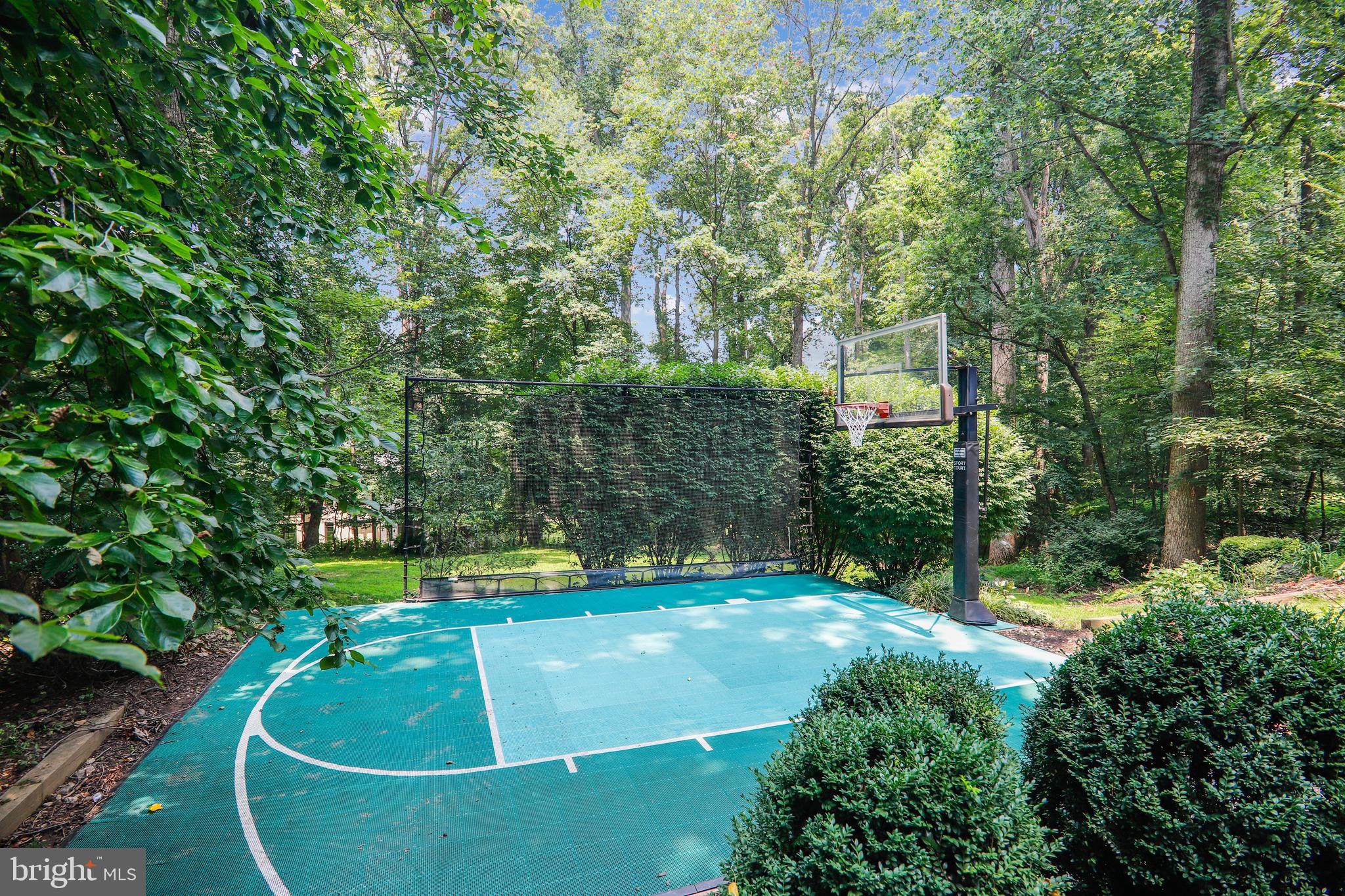 8700 Overlook Road McLean, VA 22102 - Photo 46 of 49 Sport Court