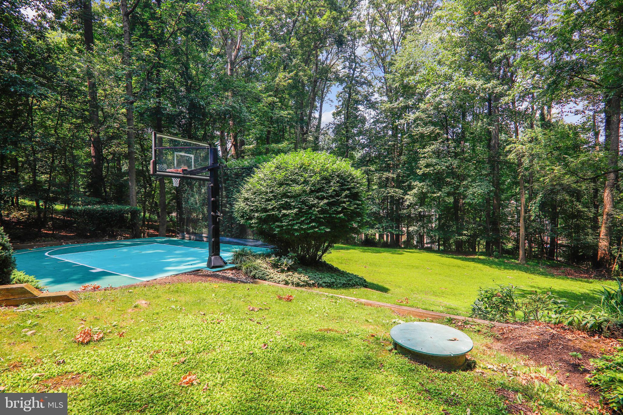 8700 Overlook Road McLean, VA 22102 - Photo 47 of 49 Level Rear Yard