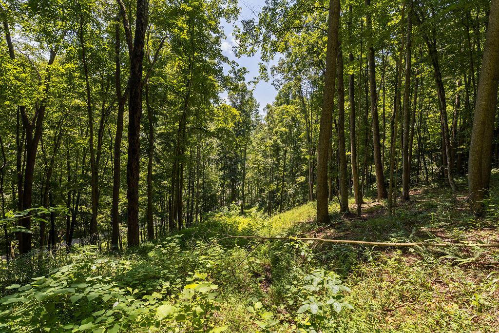 24272 Conrad Road Laurelville, OH 43135 - Photo 30 of 32 30-Walking Path-9