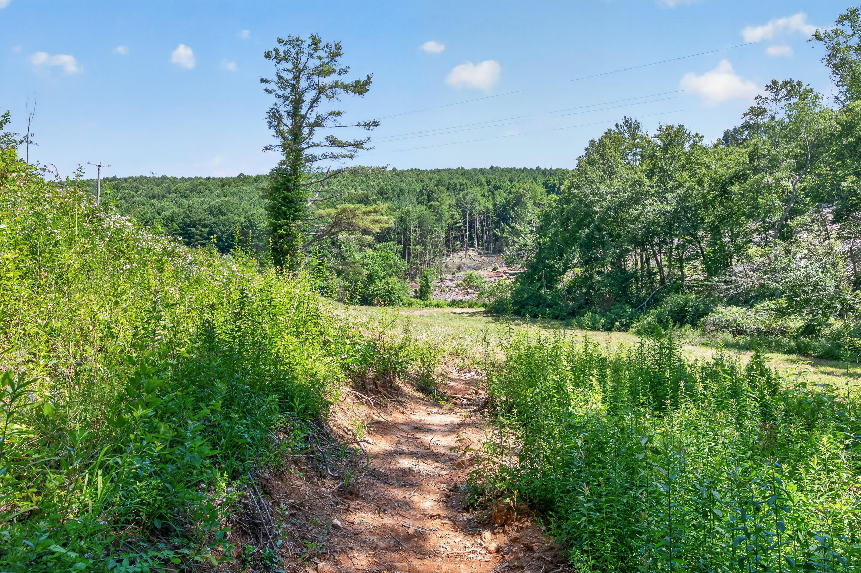 6196 Chances Creek Road Fancy Gap, VA 24328 - Photo 62 of 78 63