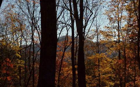 Off Turniptown Road Ellijay, GA 30540 - Photo 1 of 1 Main View