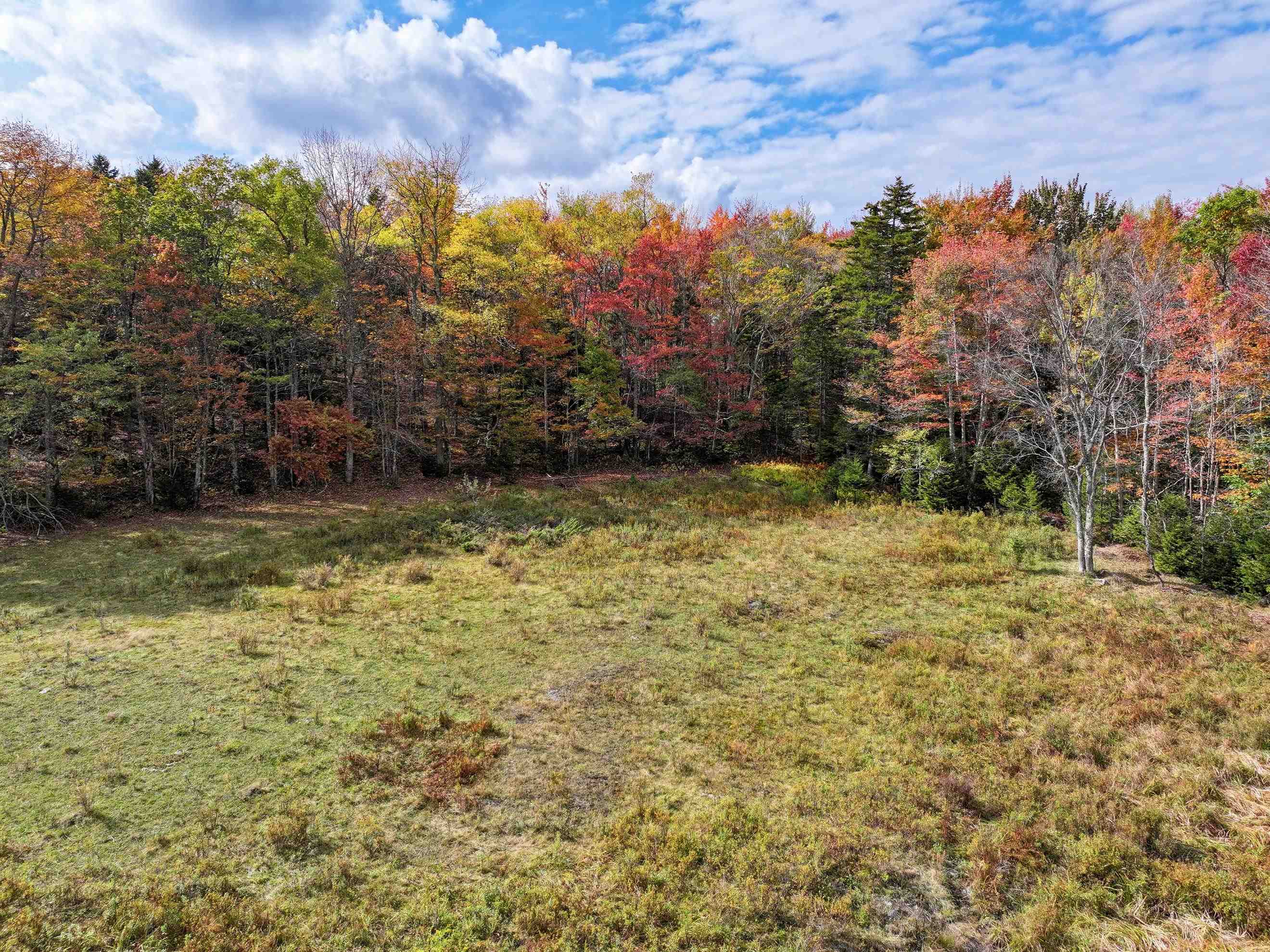Tbd North Hollow Road Rochester, VT 05767 - Photo 23 of 23