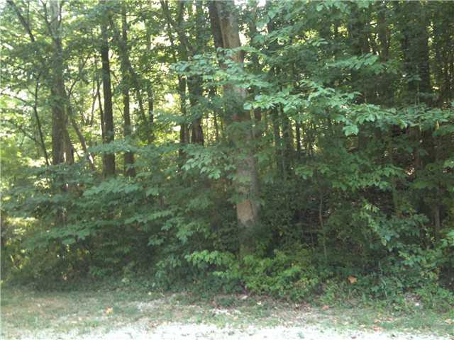 8157 Hughes Road North Salem, IN 46165 - Photo 4 of 14 Gallery Image 4