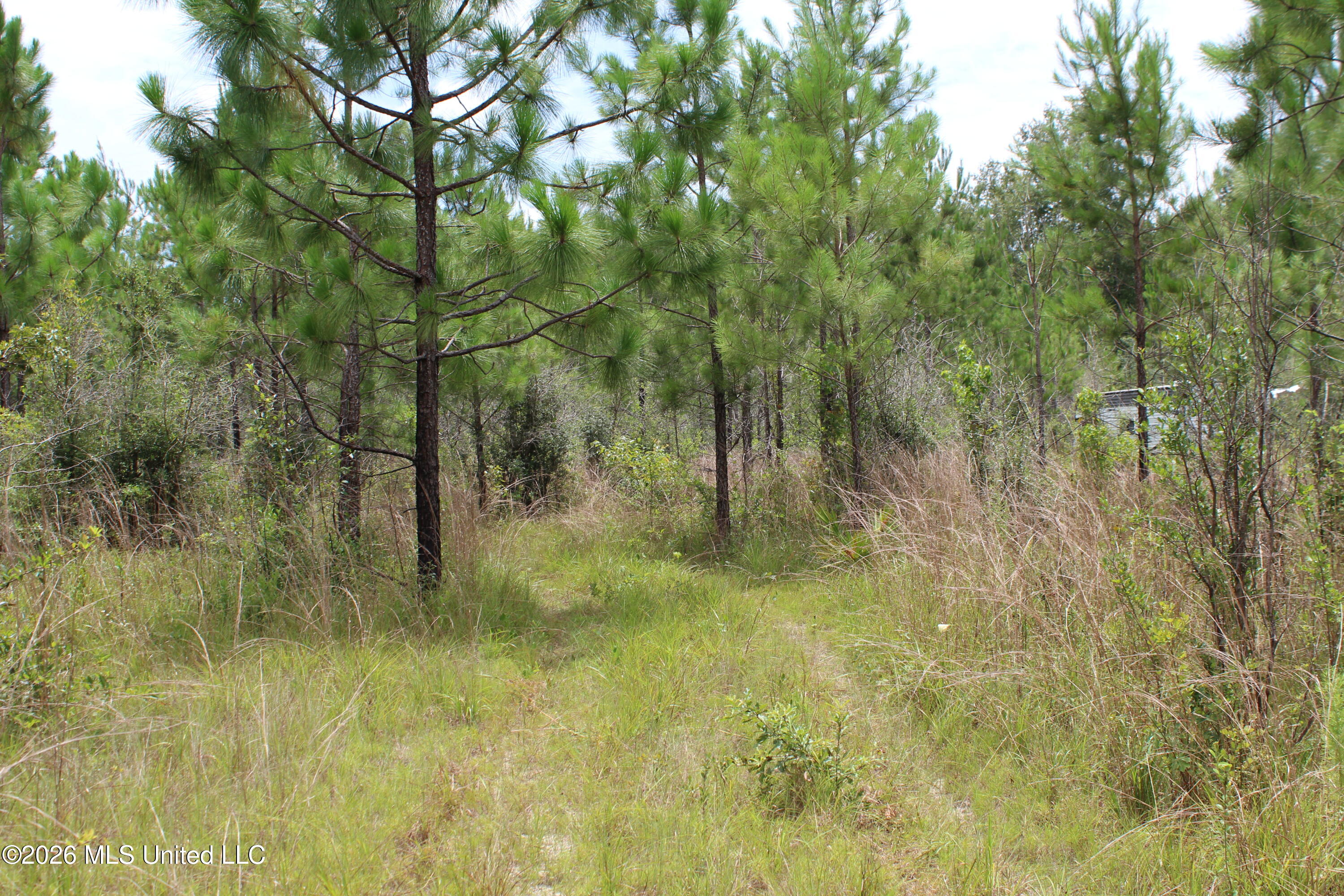 Agricola Latonia Road Lucedale, MS 39452 - Photo 26 of 27 IMG_7253