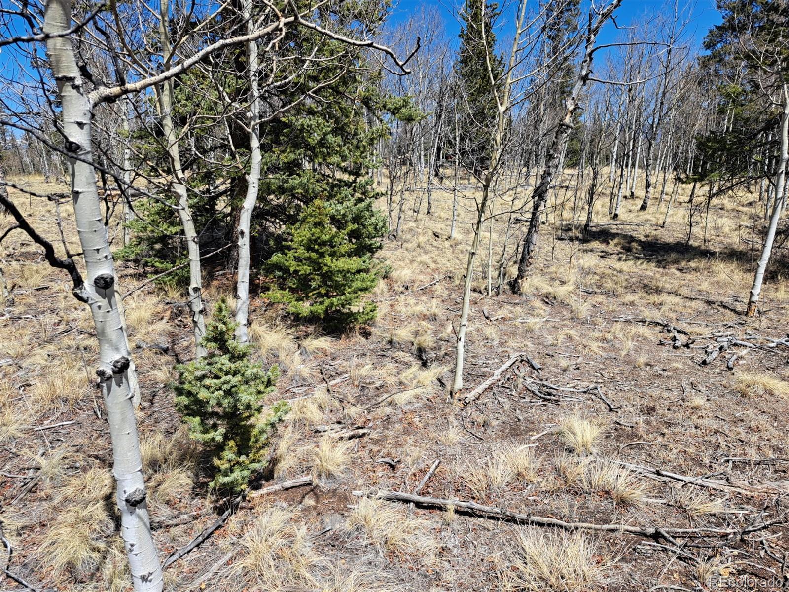 730 Tepee Trail Como, CO 80456 - Photo 13 of 29