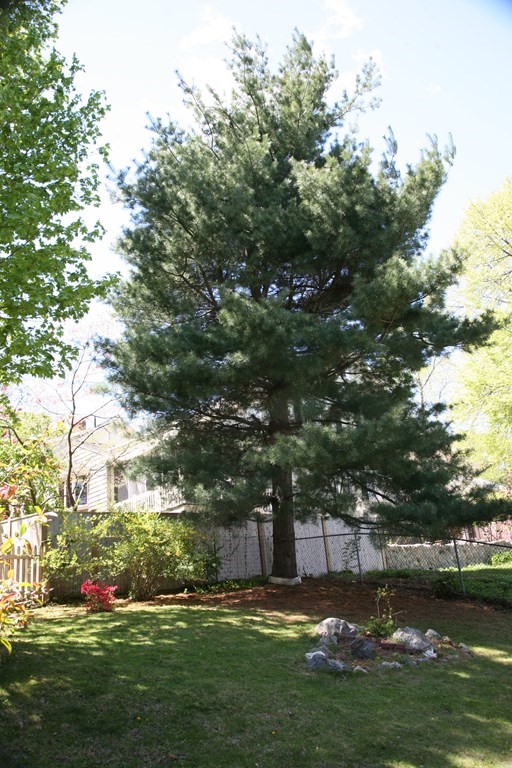 14 Farmer Road Arlington, MA 02476 - Photo 12 of 42 Gallery Image 12
