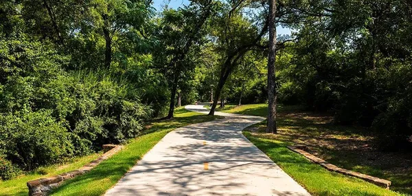 a view of a park with large trees