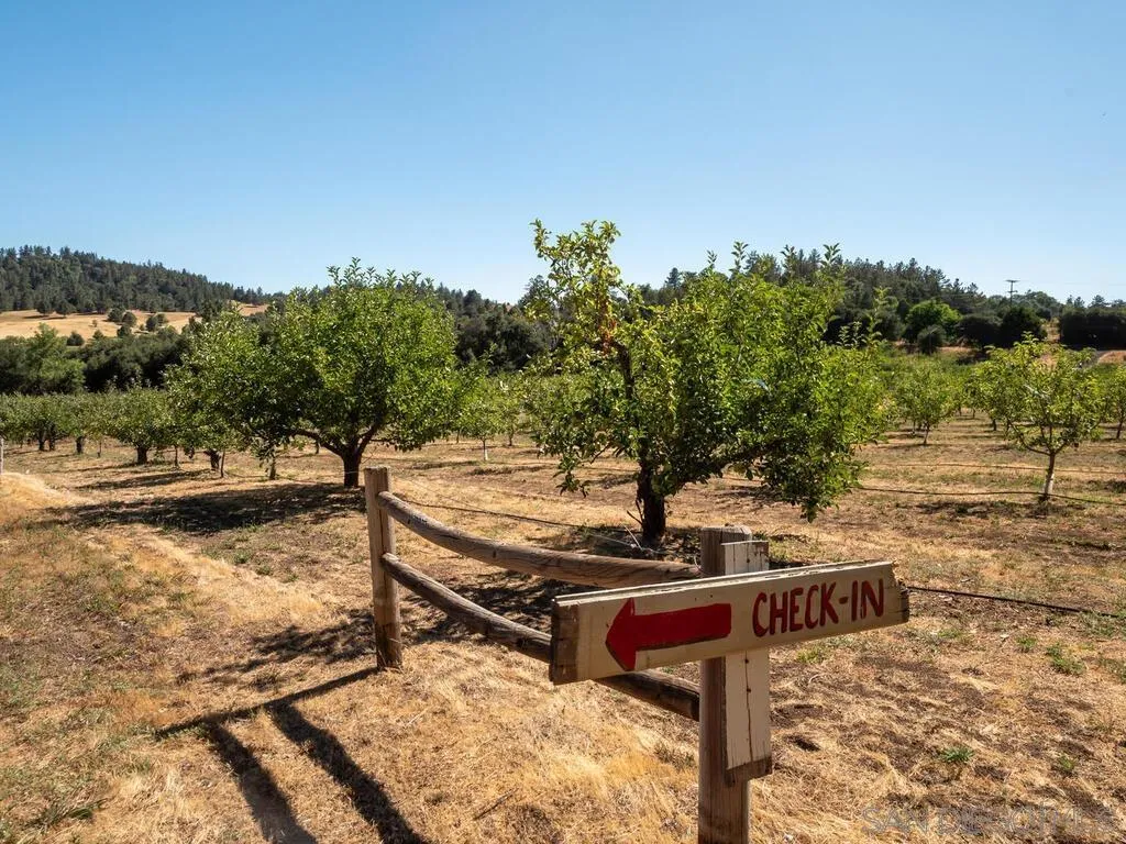 1209 Farmer Road Julian, CA 92036 - Photo 37 of 72