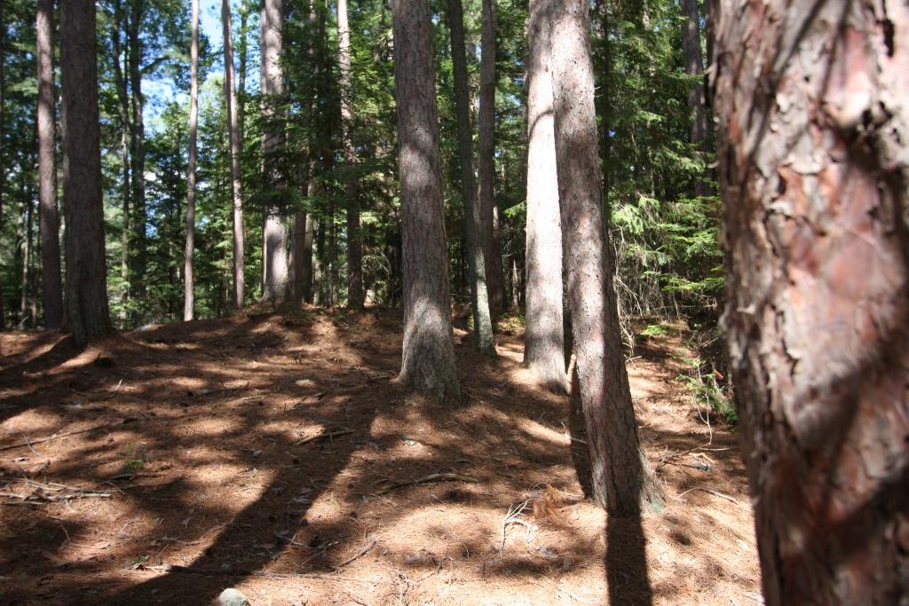 Off Clausen Road Rhinelander, WI 54501 - Photo 11 of 25 Gallery Image 11