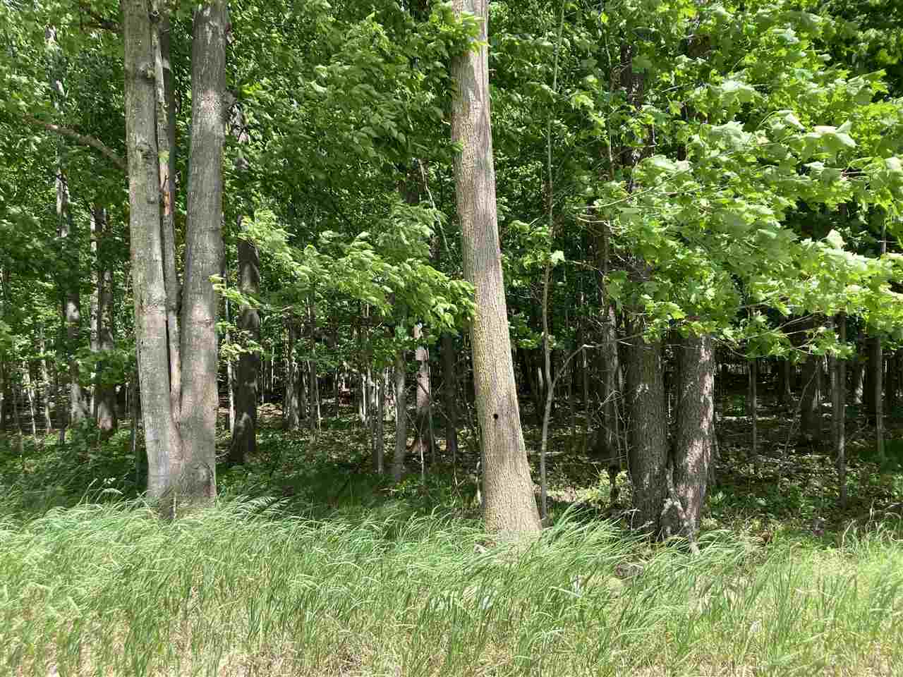 Tbd West Moss Road Fowler, MI 48835 - Photo 2 of 8 1887871-1.JPG