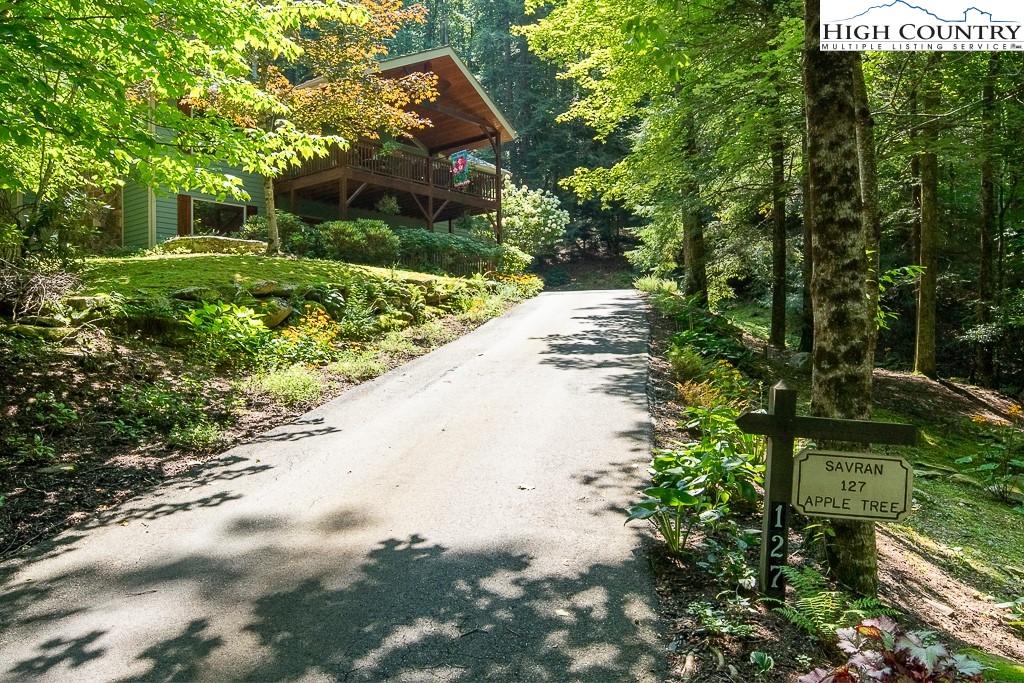 127 Apple Tree Boone, NC 28607 - Photo 45 of 50 a view of a yard with plants and a trees