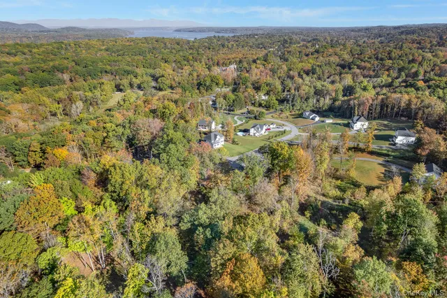 a view of a city with lush green forest