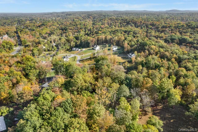 an aerial view of residential houses with outdoor space and trees