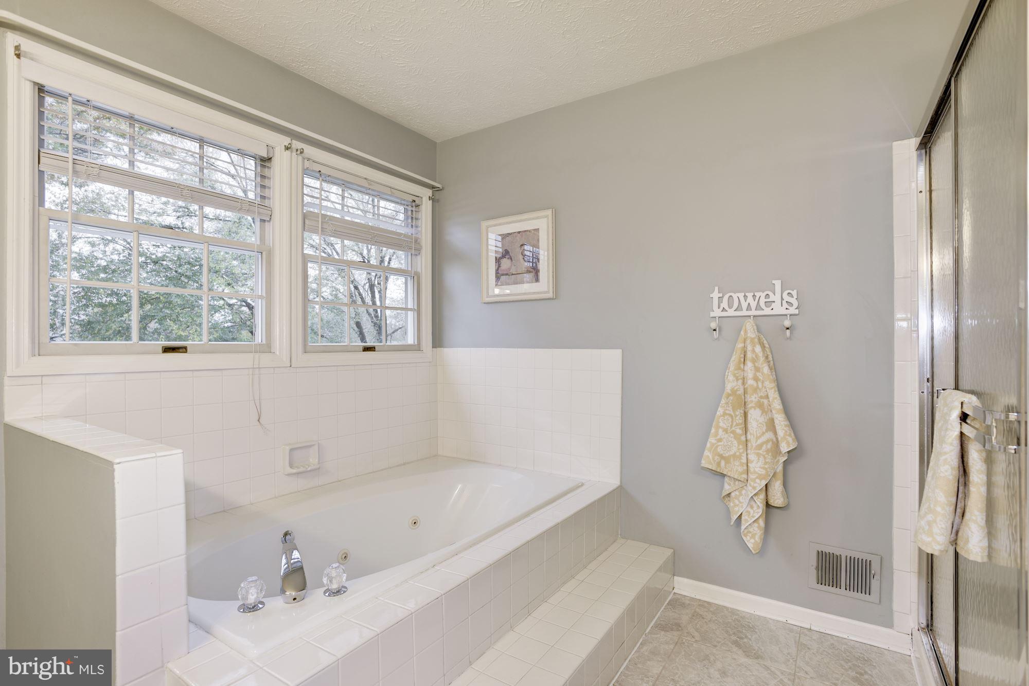 105 Rector Street Sterling, VA 20164 - Photo 17 of 30 Bath (Master)