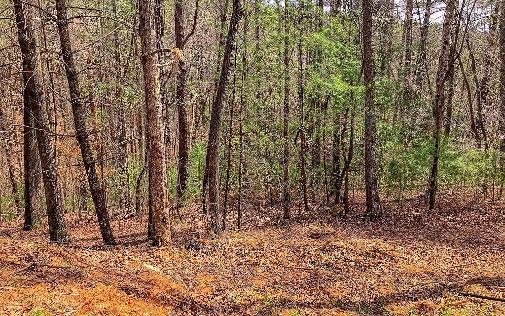 L3711 Graham Court Ellijay, GA 30540 - Photo 2 of 4 Additional View