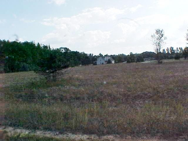 9747 Willow Road, Unit 138 Canadian Lakes, MI 49346 - Photo 1 of 10 View of Lot