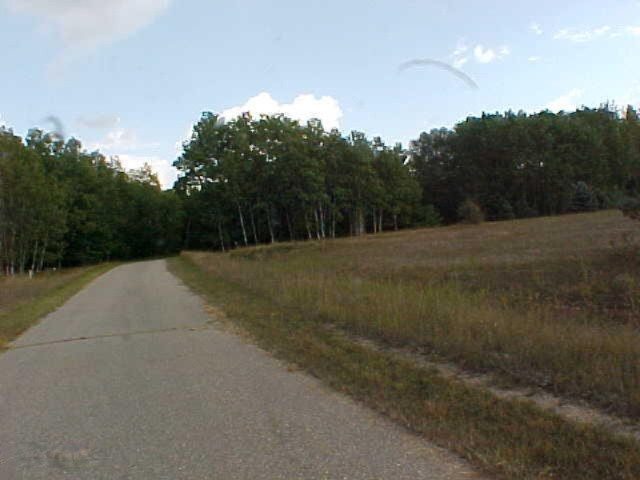 9747 Willow Road, Unit 138 Canadian Lakes, MI 49346 - Photo 4 of 10 View of Lot