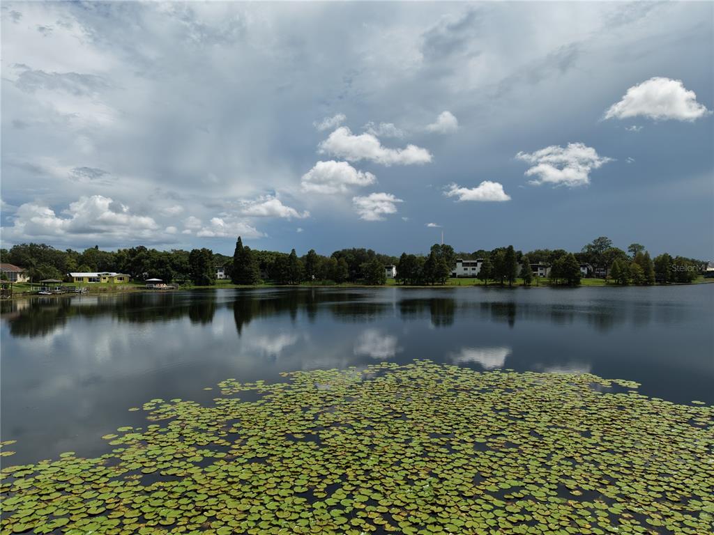 3714 Carrollbrook Road Tampa, FL 33618 - Photo 43 of 56 Gallery Image 43