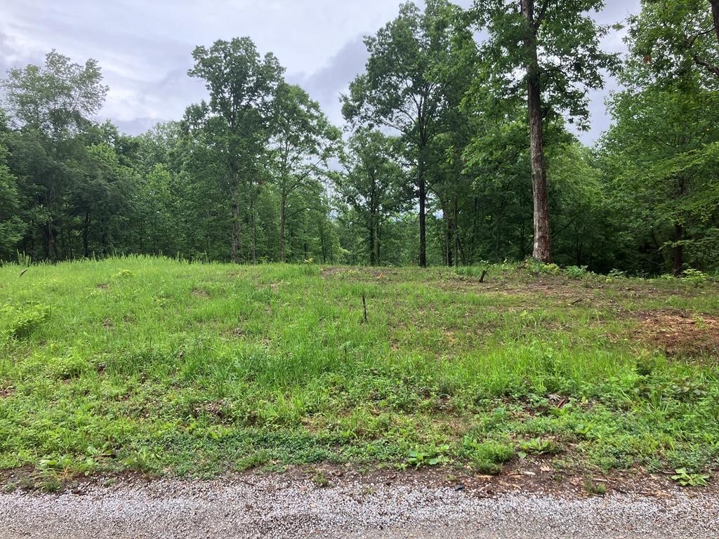 213 Wynn Ferry Road Big Sandy, TN 38221 - Photo 4 of 11