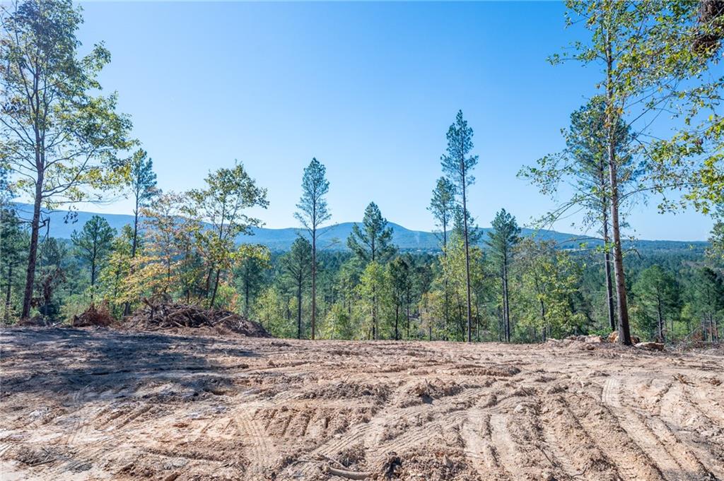 3883 Hwy 140 Ne Rydal Ga 30171 Northeast Rydal, GA 30171 - Photo 2 of 11