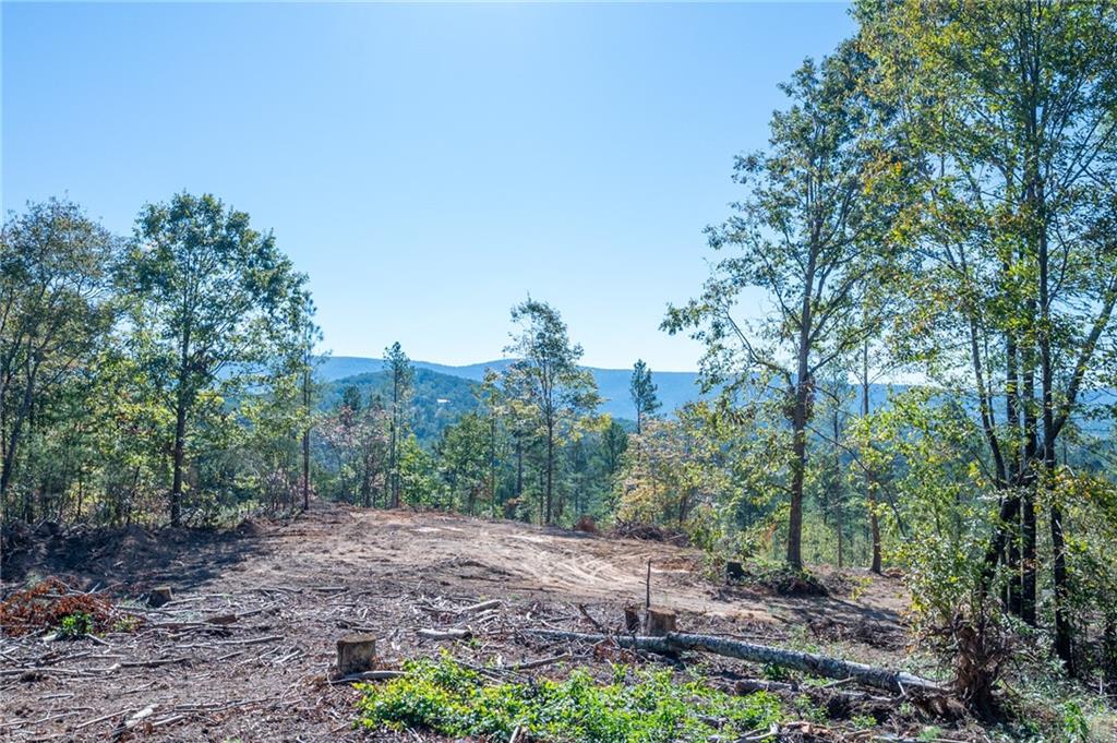 3883 Hwy 140 Ne Rydal Ga 30171 Northeast Rydal, GA 30171 - Photo 4 of 11