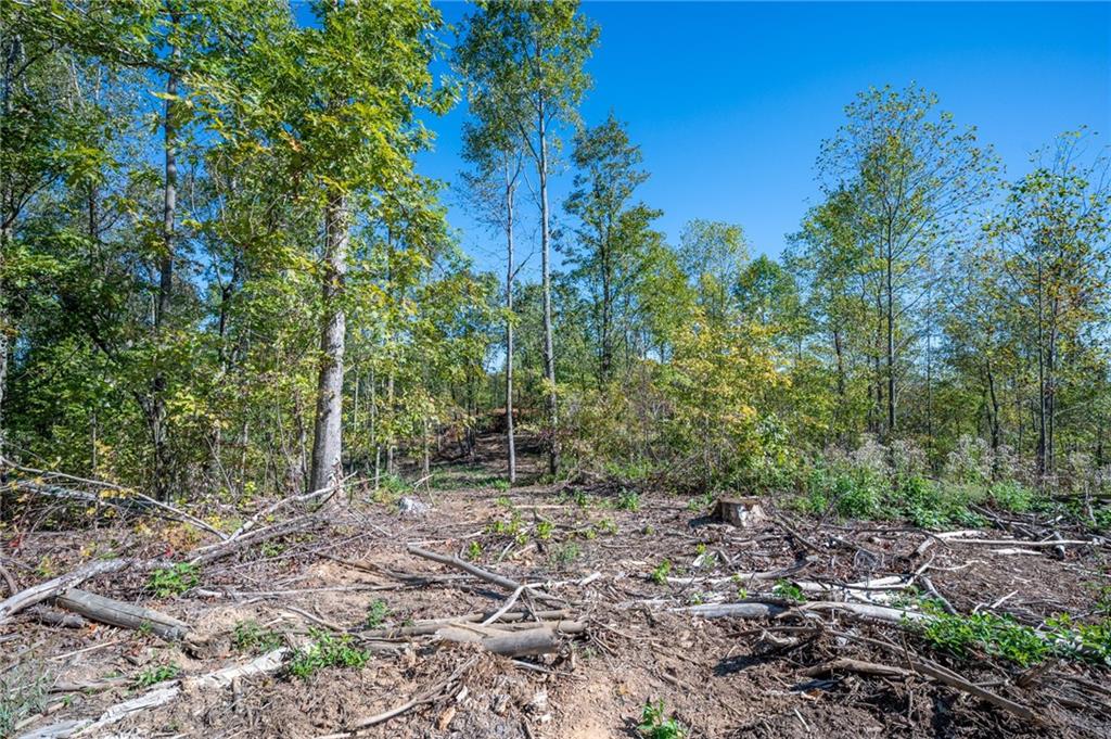 3883 Hwy 140 Ne Rydal Ga 30171 Northeast Rydal, GA 30171 - Photo 5 of 11