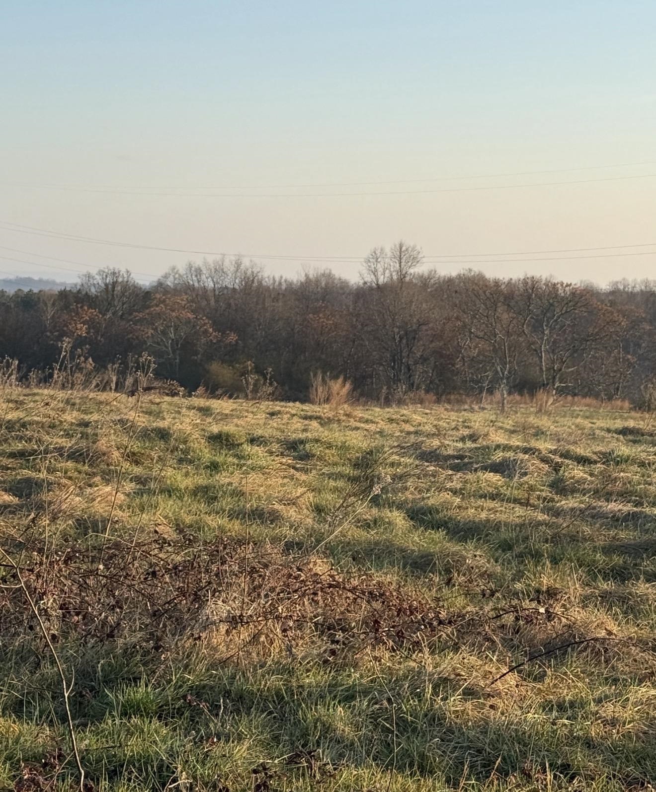10-11 Carolina Ridge Road Gaffney, SC 29341 - Photo 3 of 7